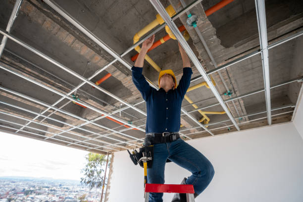 Best Residential Plumbing Services  in Williamston, MI