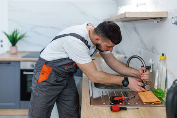 Best Clogged Drain Plumber  in Williamston, MI