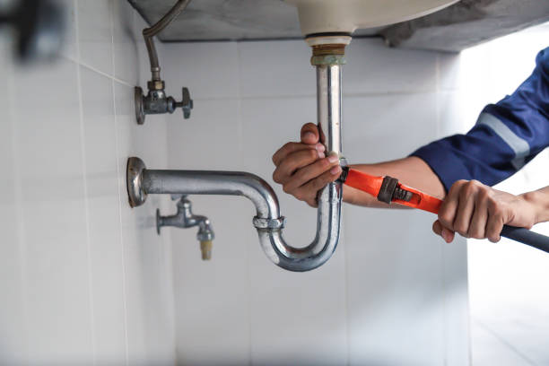 Best Water Leak Repair  in Williamston, MI