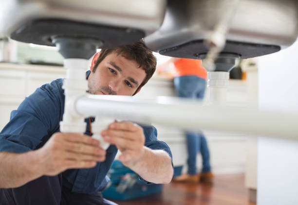 Best Boilers & Radiators  in Williamston, MI