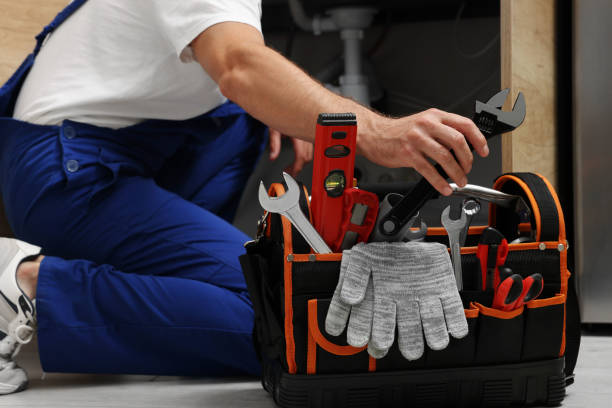 Best Toilet Repair Services  in Williamston, MI